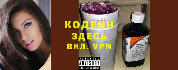 крисы Вяземский