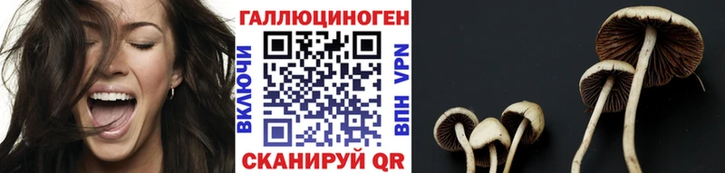 Купить где  Волгоград  Галлюциногенные грибы мухоморы 